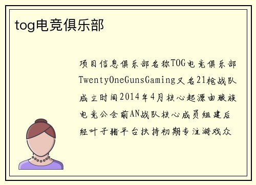 tog电竞俱乐部